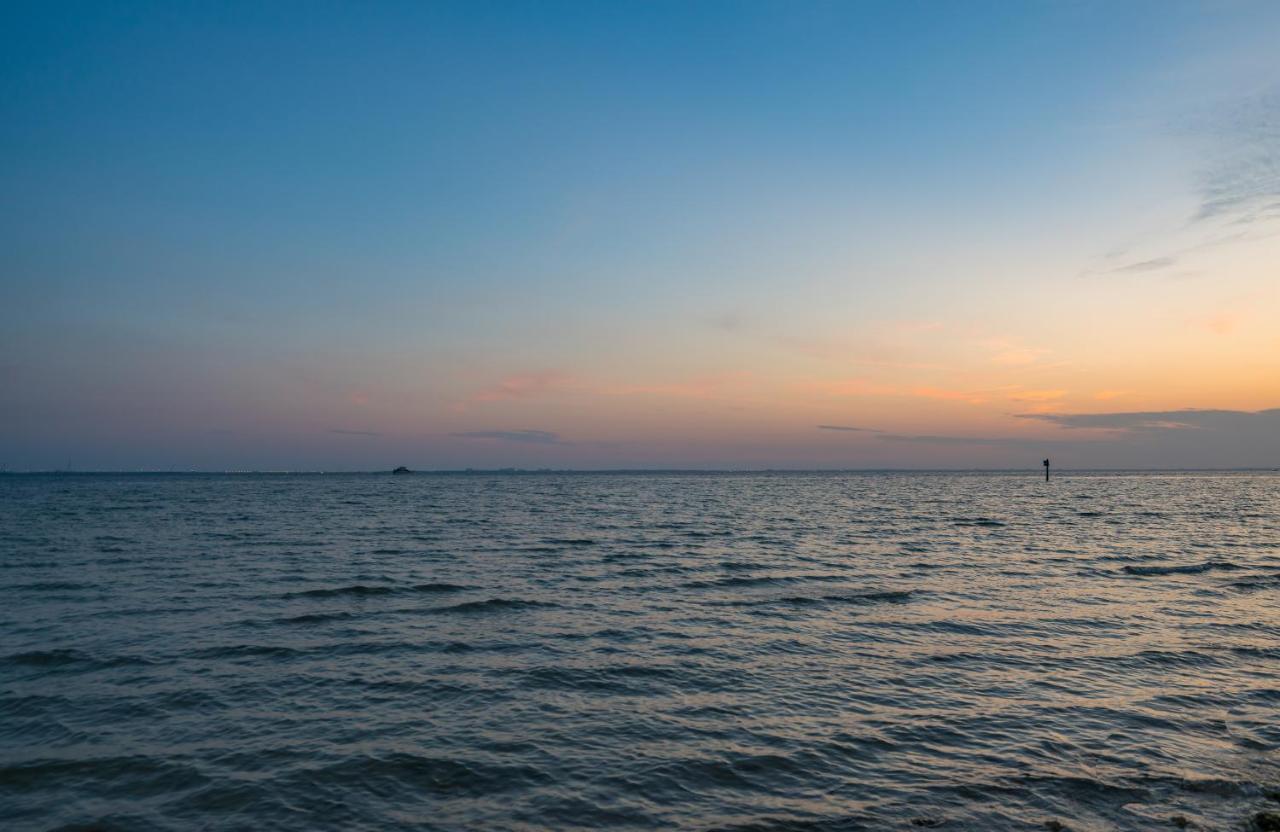 Sunset Paradise - Find Yourself In Tampa Dış mekan fotoğraf